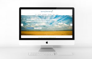 Webdesign-Springpartner